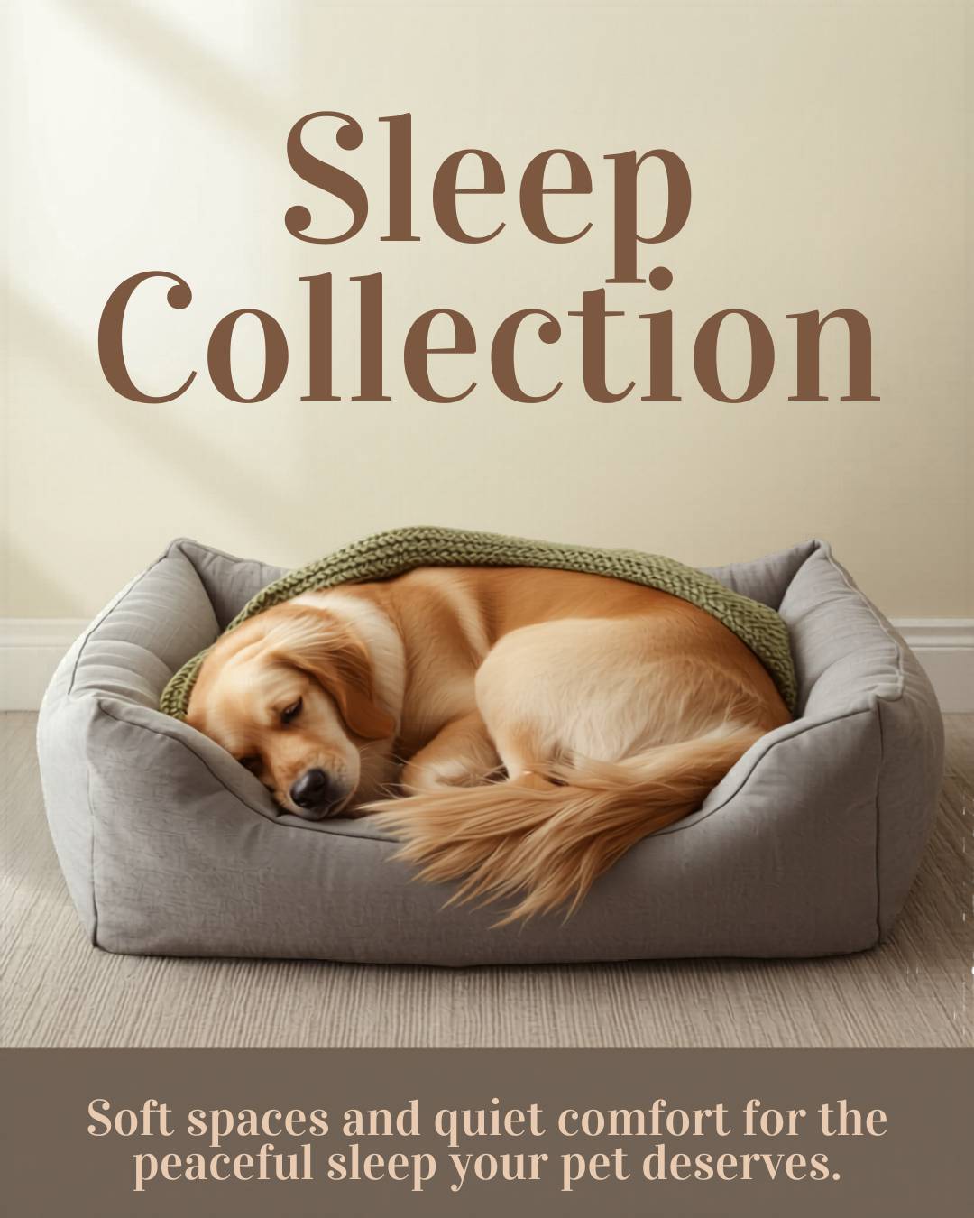 Sleep