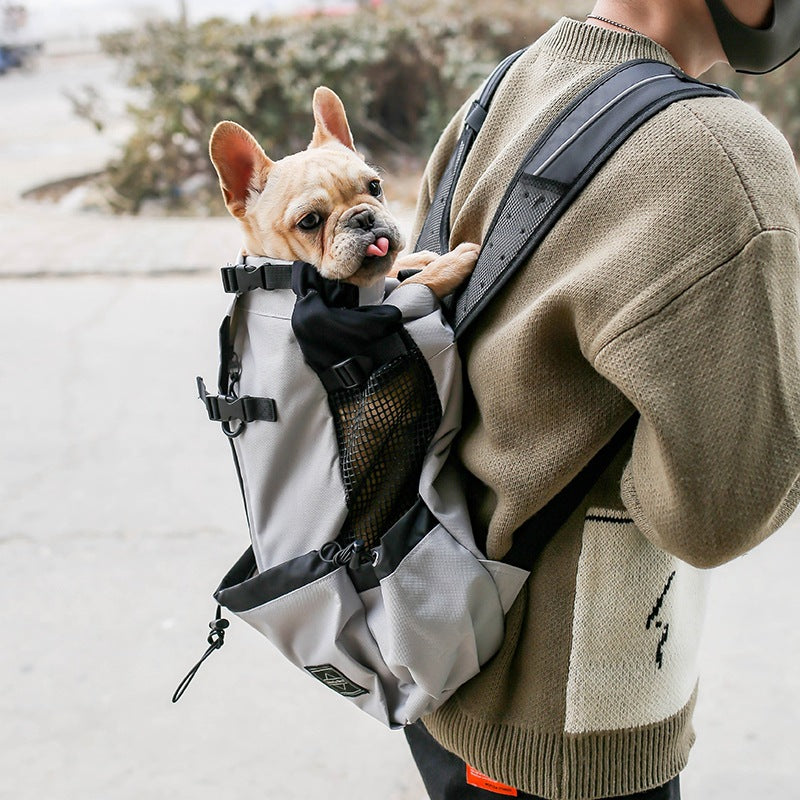 Backpack Carrier