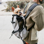 Backpack Carrier