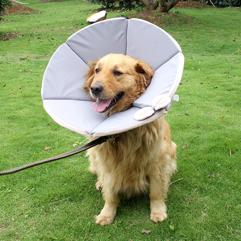 Sick Care Collar