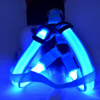 Luminous Dog Chest Strap