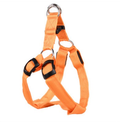 Luminous Dog Chest Strap