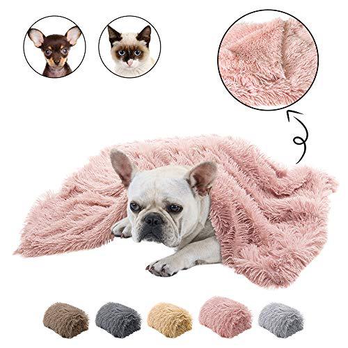 Double Plush Blanket