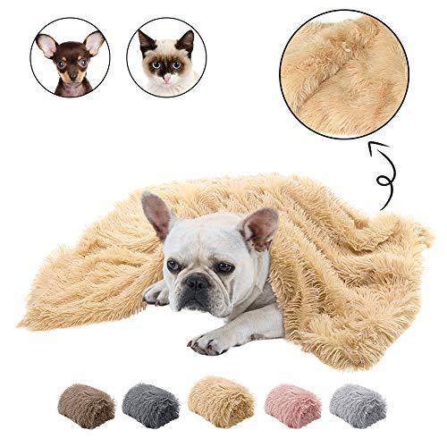 Double Plush Blanket
