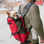 Backpack Carrier
