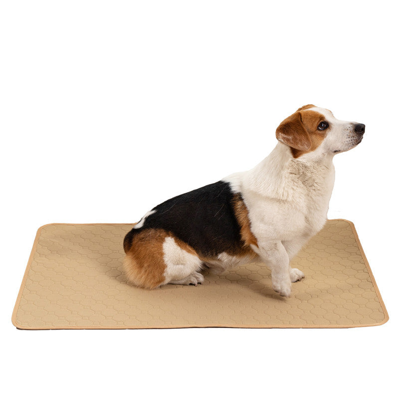 Water Absorption Pad
