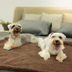 Plush Blanket