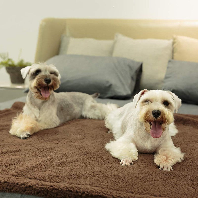Plush Blanket