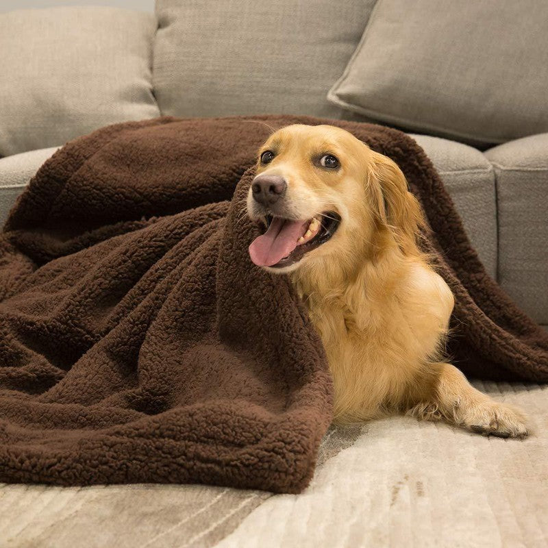 Plush Blanket