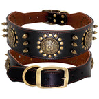 Leather Stud Collar