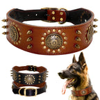 Leather Stud Collar