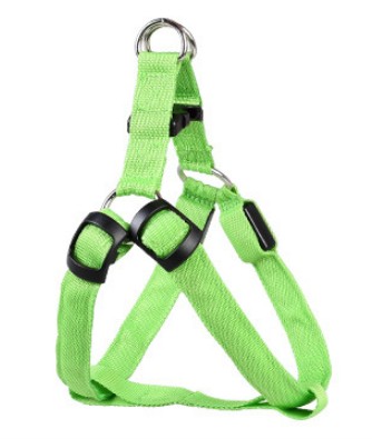 Luminous Dog Chest Strap