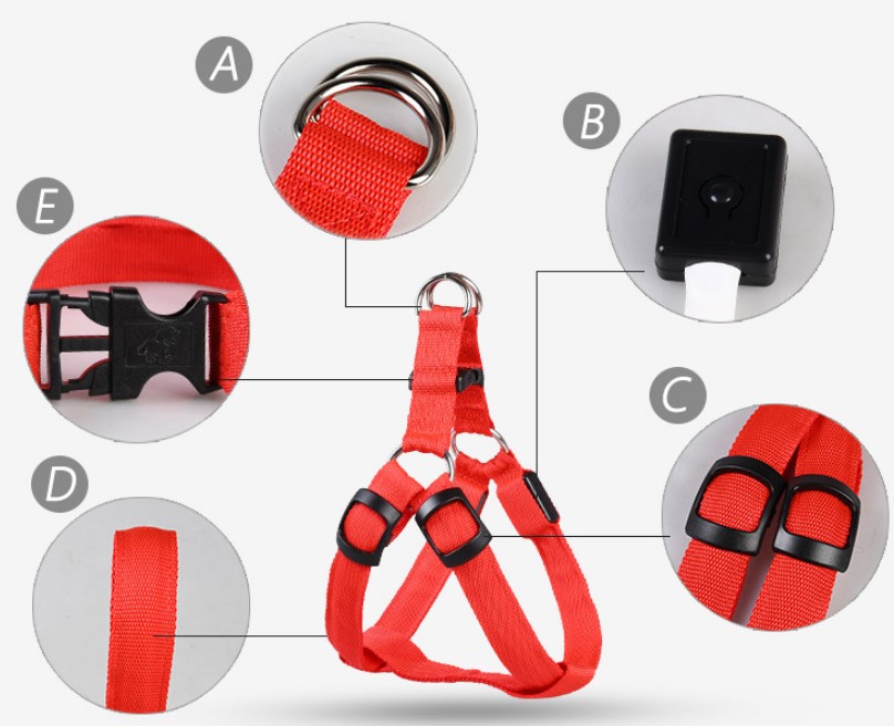 Luminous Dog Chest Strap