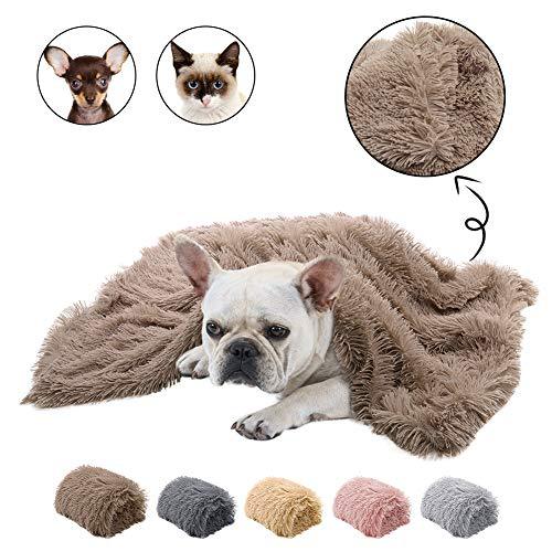 Double Plush Blanket
