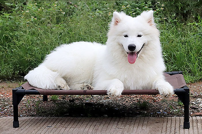 Camp bed