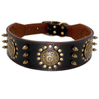 Leather Stud Collar
