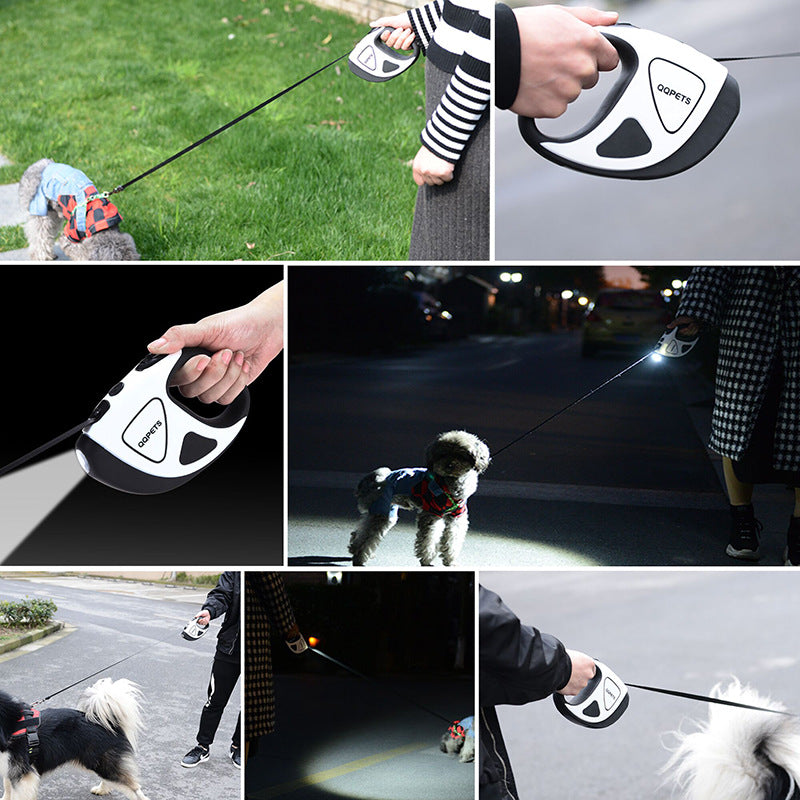 LED Safety Leash