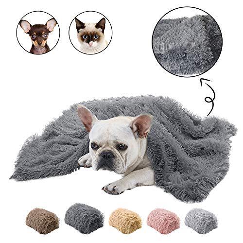 Double Plush Blanket