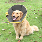 Sick Care Collar