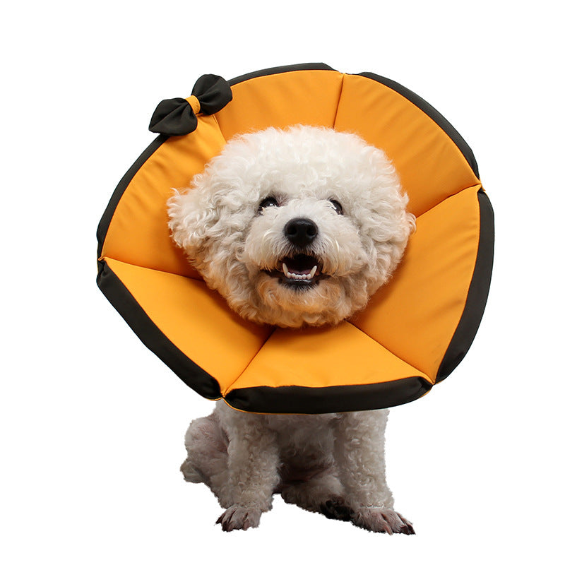 Sick Care Collar