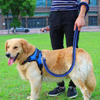 Leash chest strap
