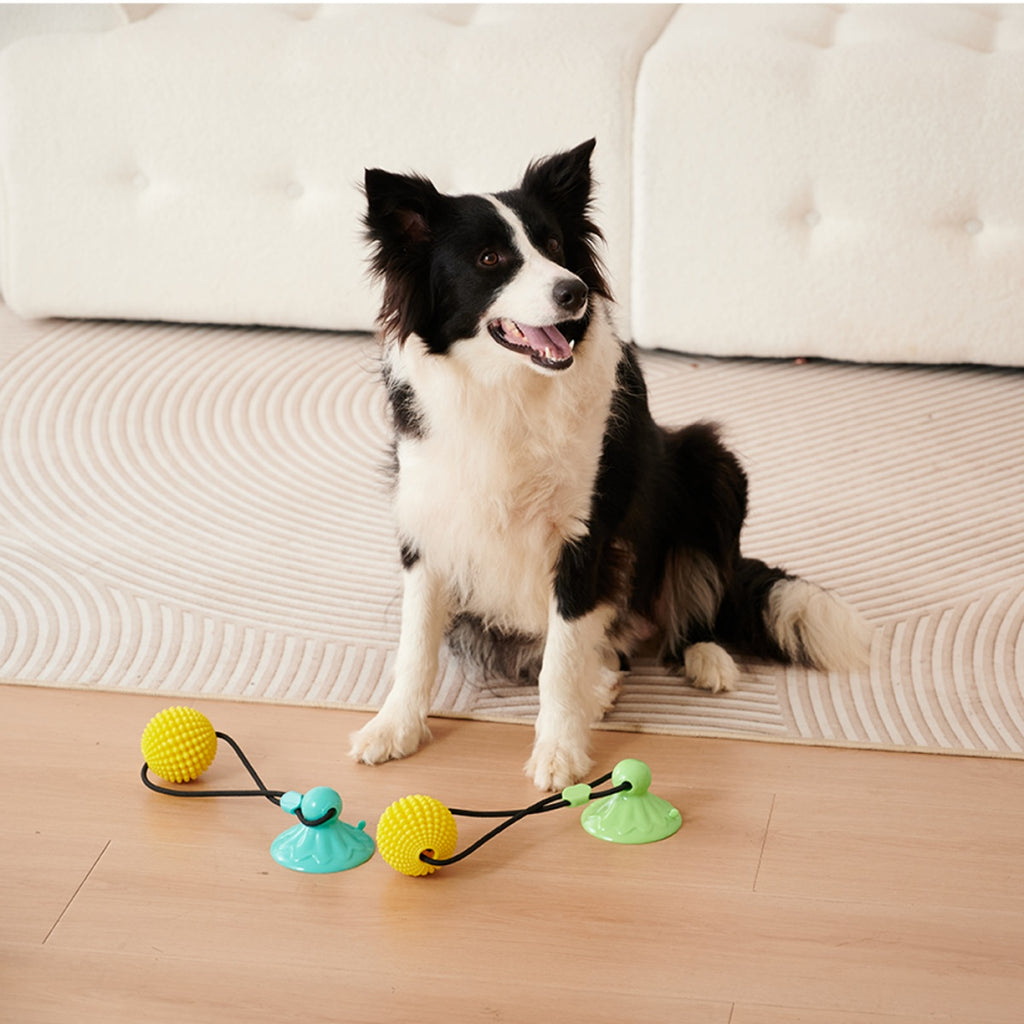 Corn Ball Chew Toy