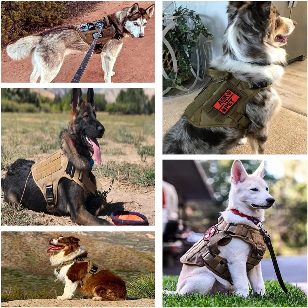Camouflage Harness