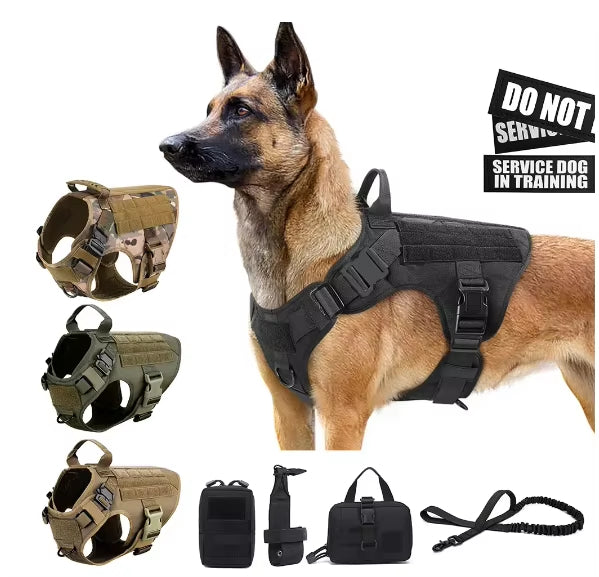 Camouflage Harness