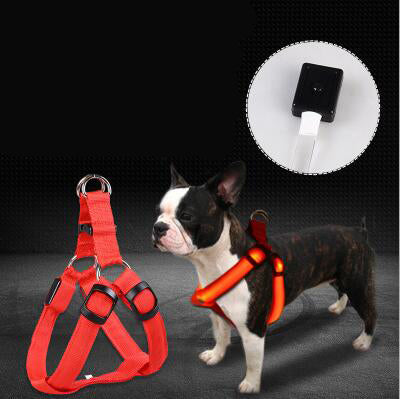 Luminous Dog Chest Strap