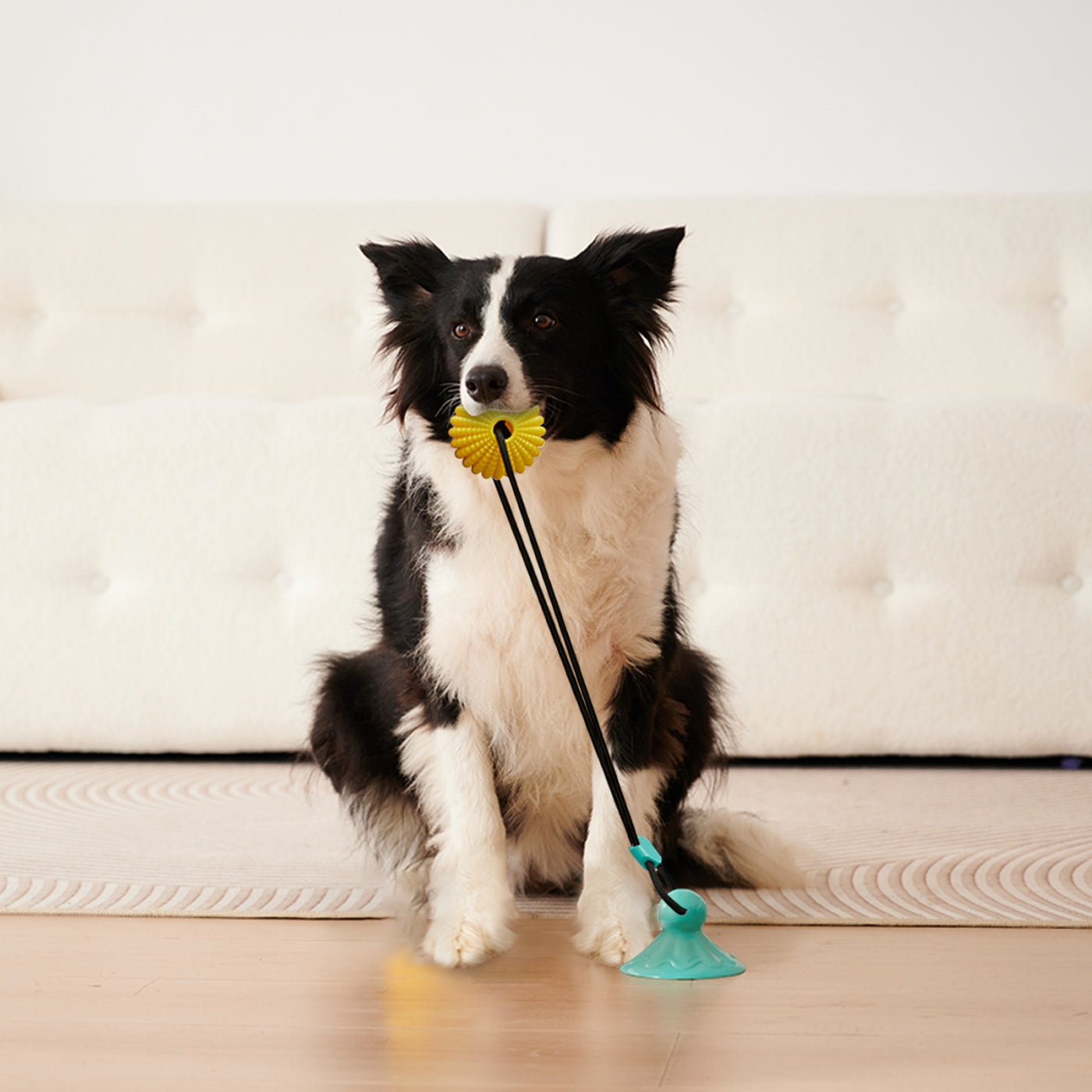 Corn Ball Chew Toy