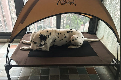 Camp bed