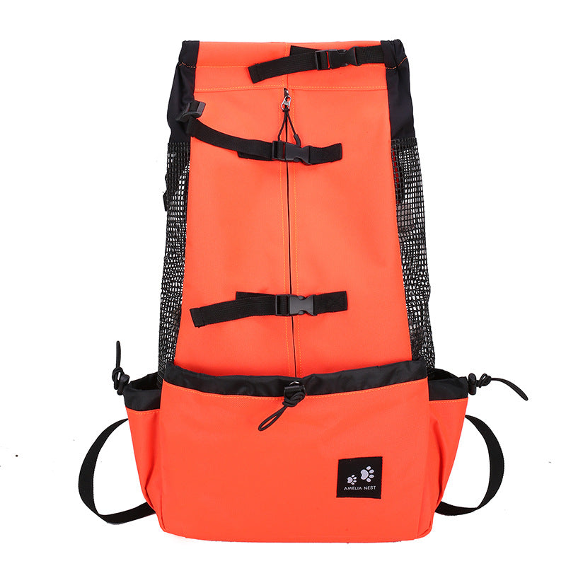 Backpack Carrier