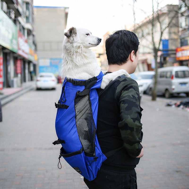 Backpack Carrier