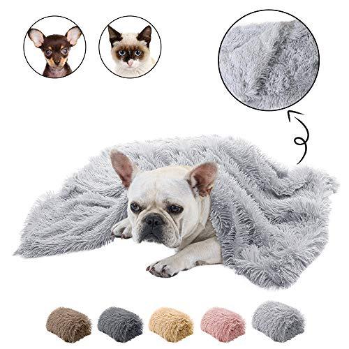 Double Plush Blanket