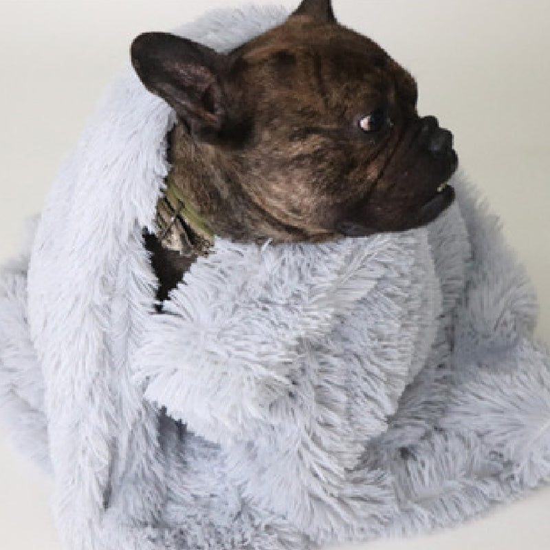Furry Blanket