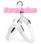 Luminous Dog Chest Strap