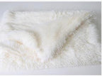 Furry Blanket
