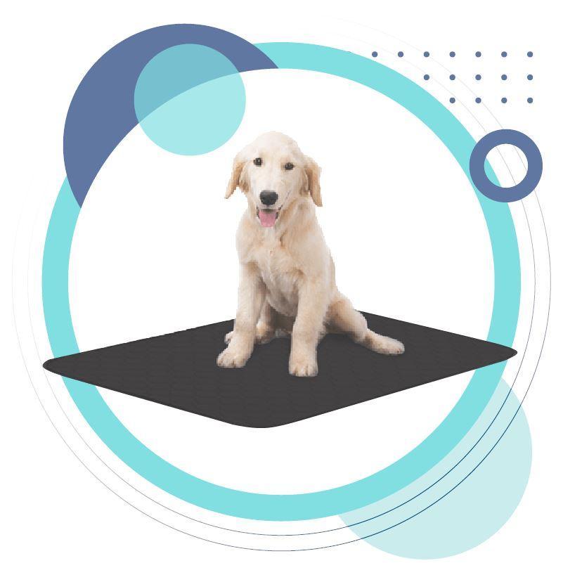Earthing Mat