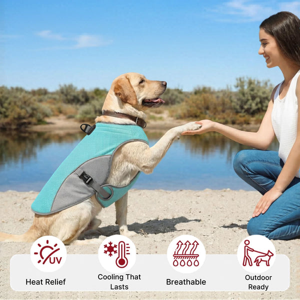 Because Your Dog Can’t Tell You They’re Overheating