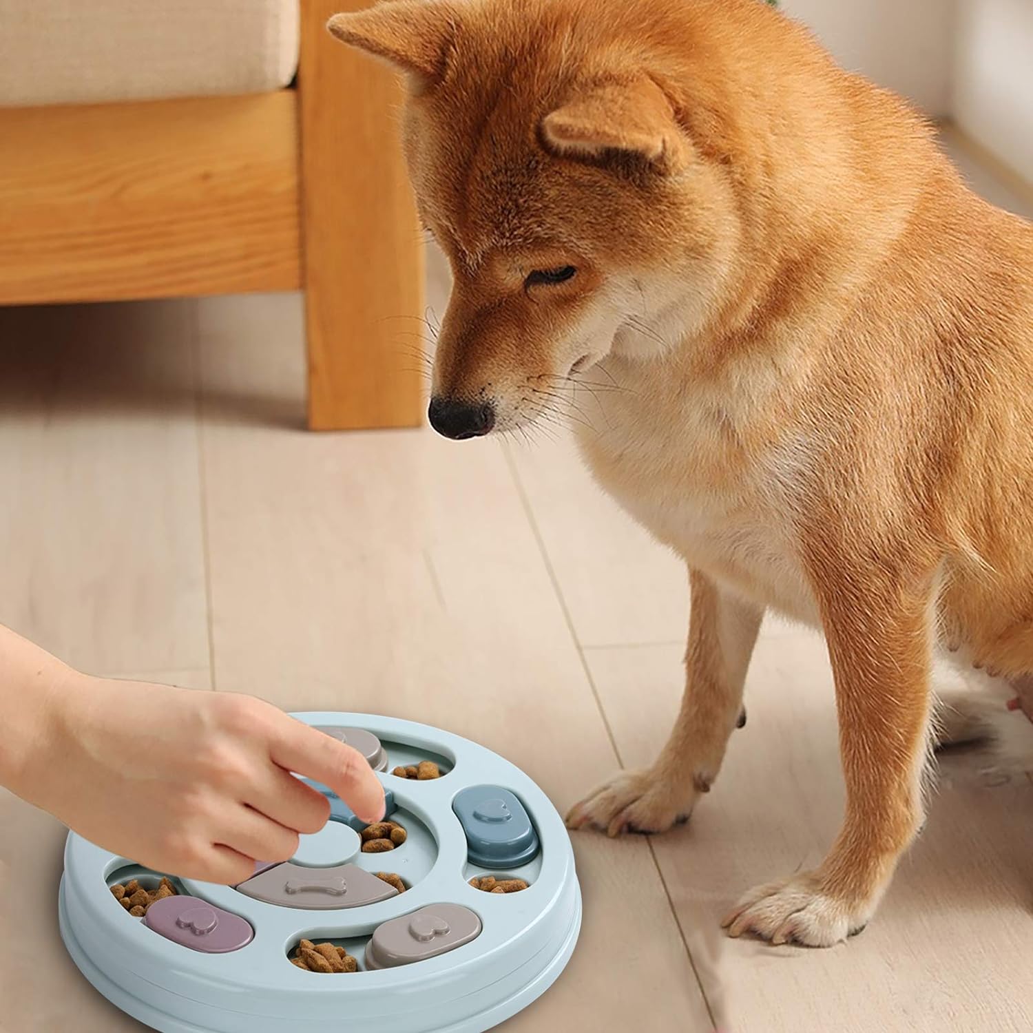 Puzzle Feeder Bowl