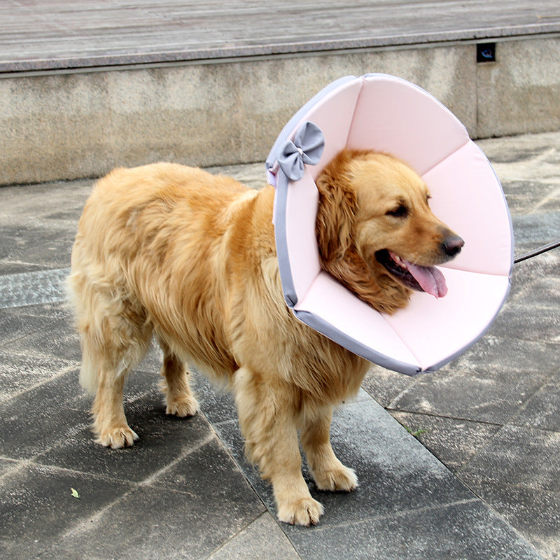 Sick Care Collar