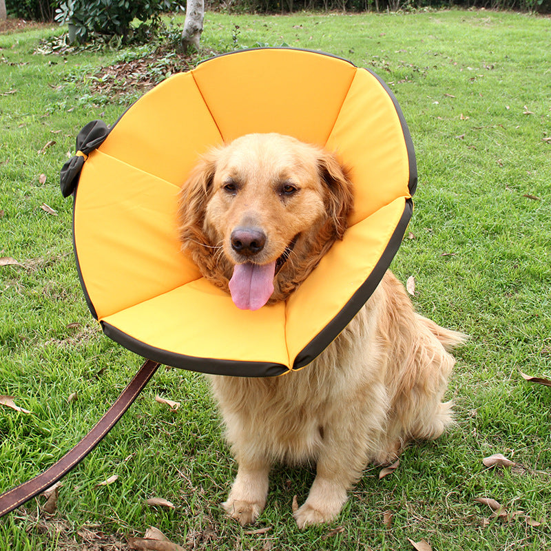 Sick Care Collar